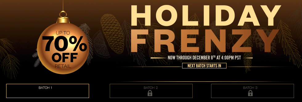 Holiday Frenzy Banner