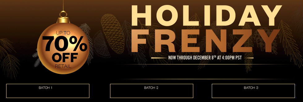 Holiday Frenzy Banner